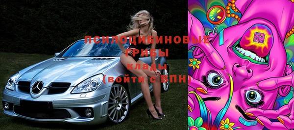 винт Аркадак