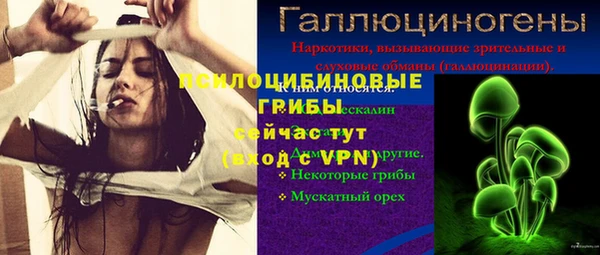 винт Аркадак