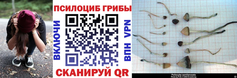 Псилоцибиновые грибы ЛСД  Купить закладки  Пересвет 