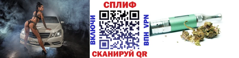 Конопля сатива Купить Пересвет